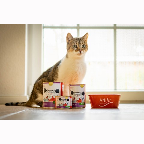 Kat Natvoer Powertöpfchen 400g 6 Stuk -3- Anifit